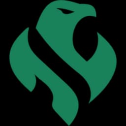 Riyadh Falcons