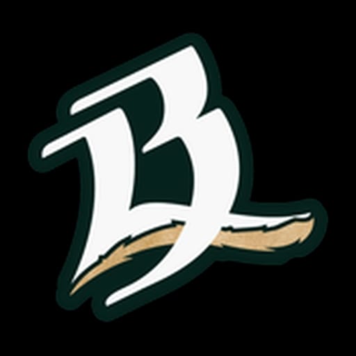 Bravos de Leon