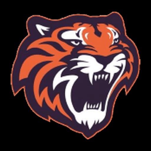 Tigres de Quintana Roo