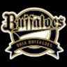 Orix Buffaloes