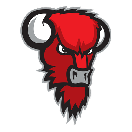 Bisons Loimaa