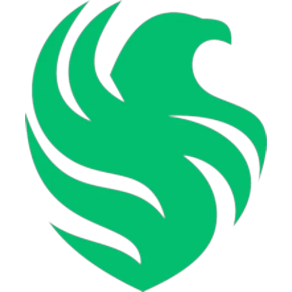 Team Falcons