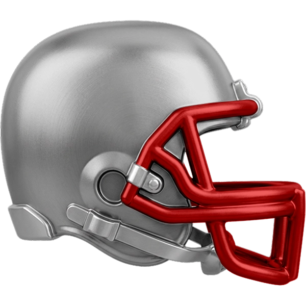 NE Patriots